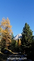 wbgarden alps 133